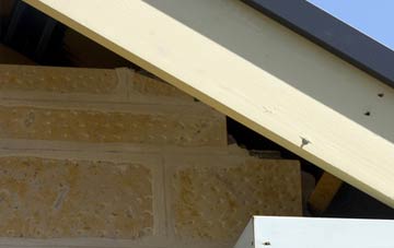 soffit repair Preston On The Hill