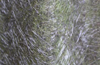 Preston On The Hill fibreglass roof work